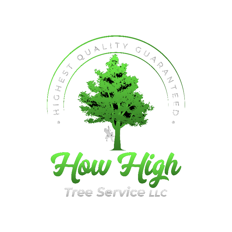 How High Tree Service LLC - Tree Trimming, Removal & Stump Grinding in Fort Worth, TX